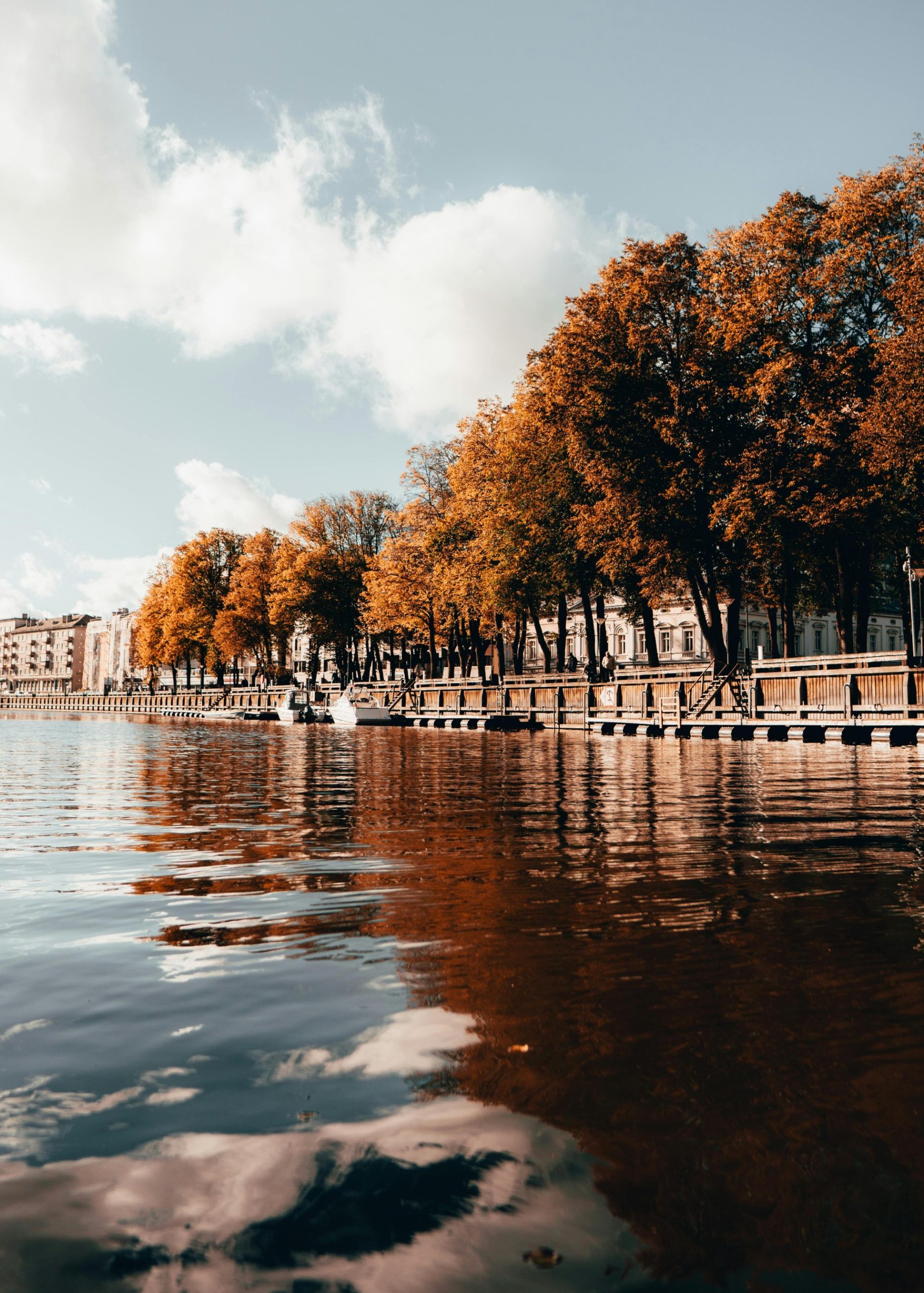 thumbnail_pexels-kokorevas-5922346